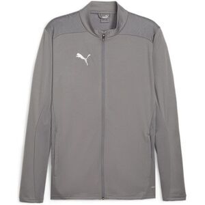 Puma Mens TeamGoal Jacket / Silver